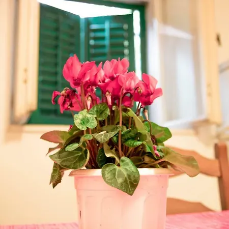 Apartment Juricic Labin (Istria)